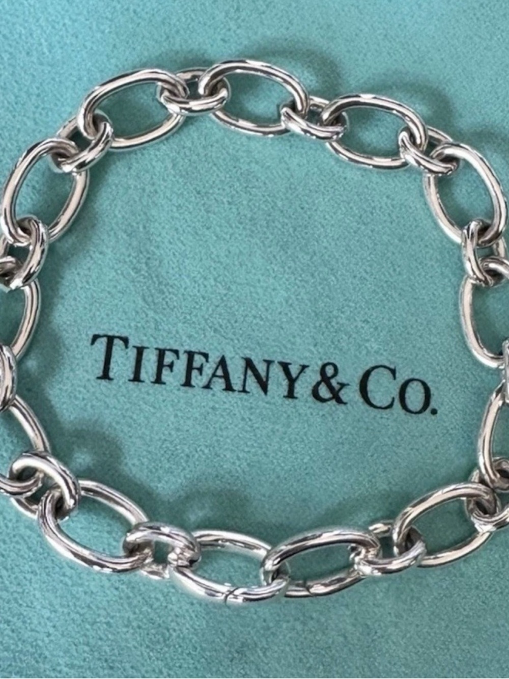 Tiffany & Co Italy 925 Sterling Oval Link 7.5” Clasp Ends - Picture 2 of 12